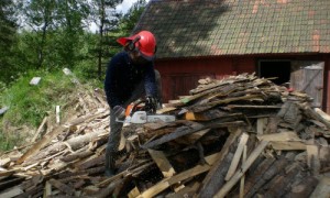 sawing wood for firing